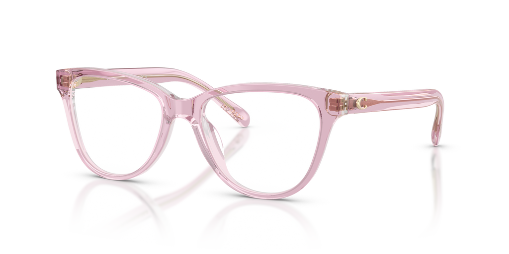 Coach HC6202U