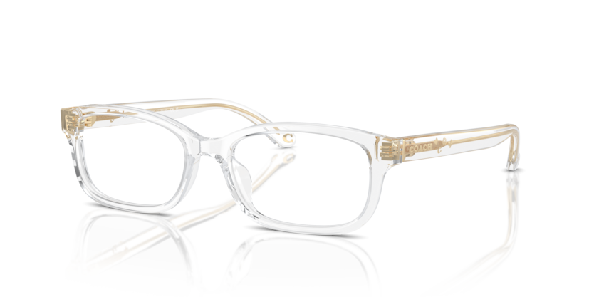 Coach HC6233U