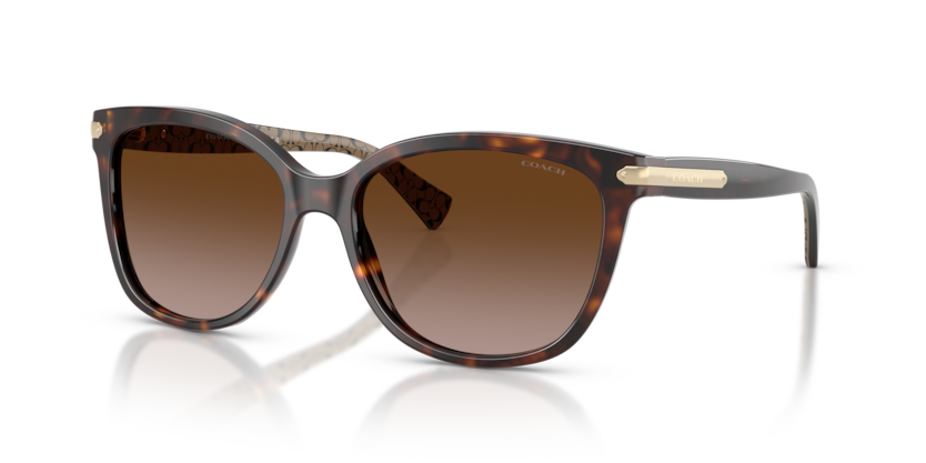 Coach HC8132