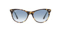 Ray-Ban RB2185