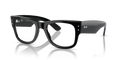 Ray-Ban RX0840V