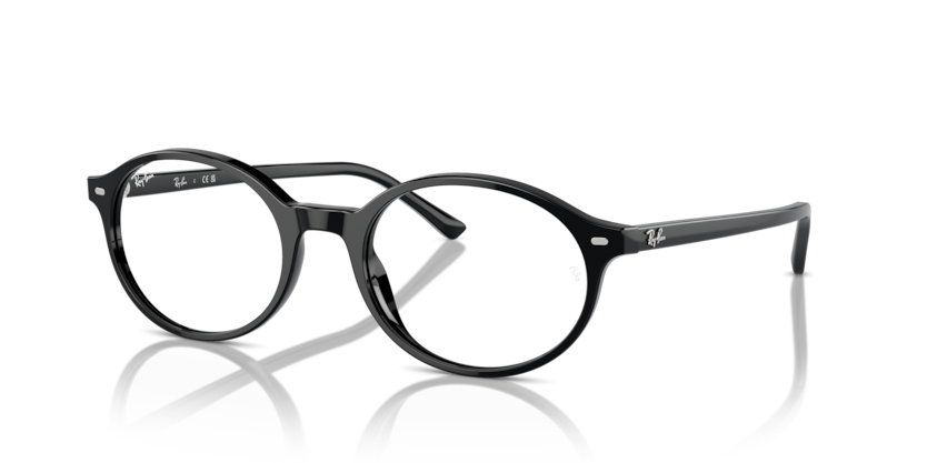 Ray-Ban RX5429