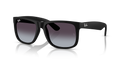 Ray-Ban RB4165