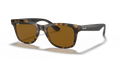 Ray-Ban RB4640