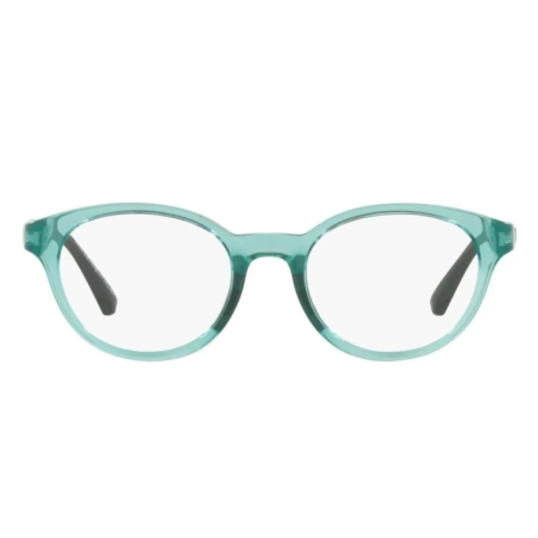 Emporio Armani EA3205